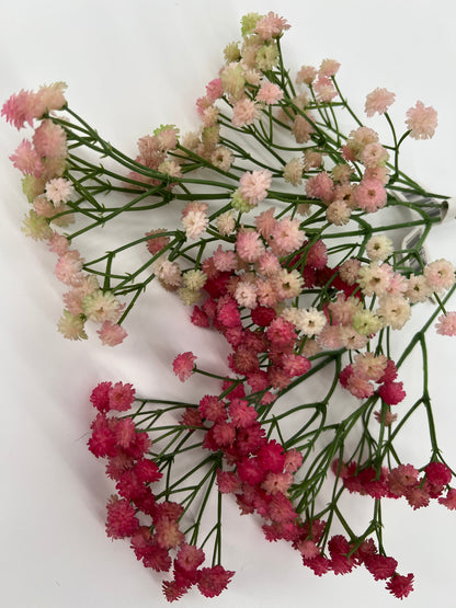Gypsophilia (gipskruid) donker of licht roze, 66cm