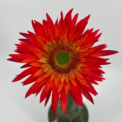 Silk-ka Gerbera's met diameter bloem 12,5cm in 6 kleuren topkwaliteit!, 61cm