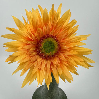Silk-ka Gerbera's met diameter bloem 12,5cm in 6 kleuren topkwaliteit!, 61cm