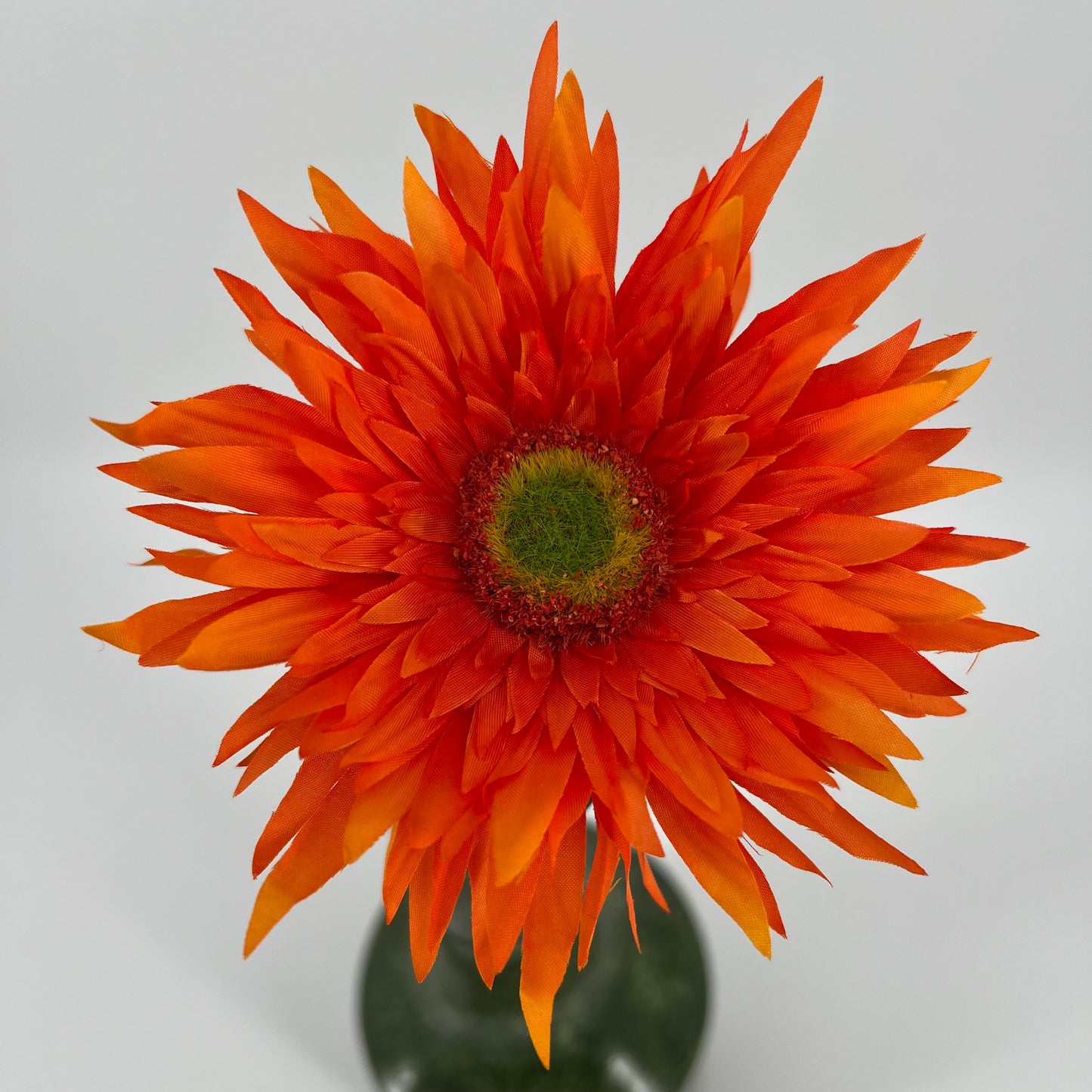 Silk-ka Gerbera's met diameter bloem 12,5cm in 6 kleuren topkwaliteit!, 61cm