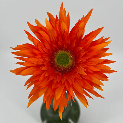 Silk-ka Gerbera's met diameter bloem 12,5cm in 6 kleuren topkwaliteit!, 61cm