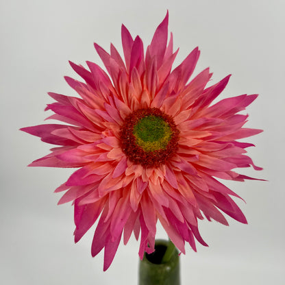 Silk-ka Gerbera's met diameter bloem 12,5cm in 6 kleuren topkwaliteit!, 61cm
