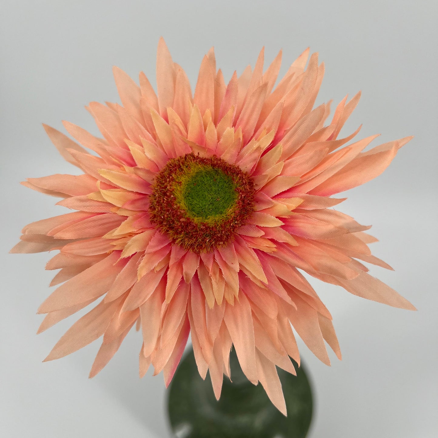 Silk-ka Gerbera's met diameter bloem 12,5cm in 6 kleuren topkwaliteit!, 61cm