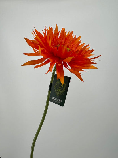 Bos gerbera's 6 stelen van elke kleur één, 5 + 1 gratis, 61cm