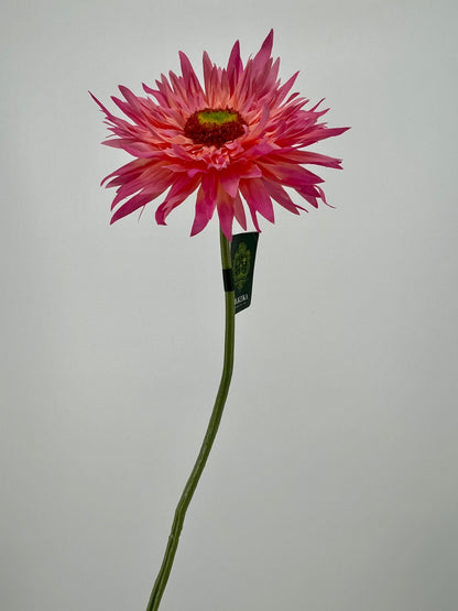 Bos gerbera's 6 stelen van elke kleur één, 5 + 1 gratis, 61cm