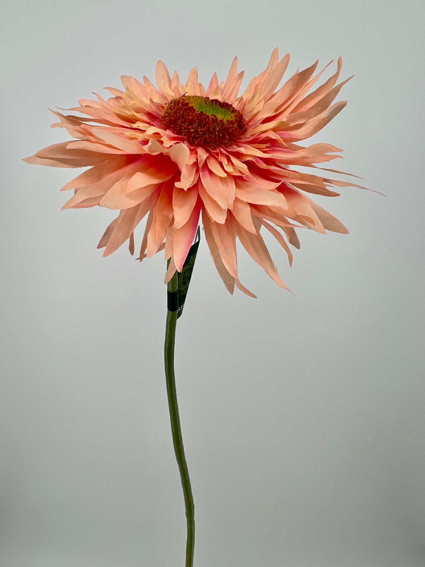 Bos gerbera's 6 stelen van elke kleur één, 5 + 1 gratis, 61cm