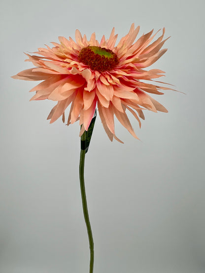 Bos gerbera's 6 stelen van elke kleur één, 5 + 1 gratis, 61cm