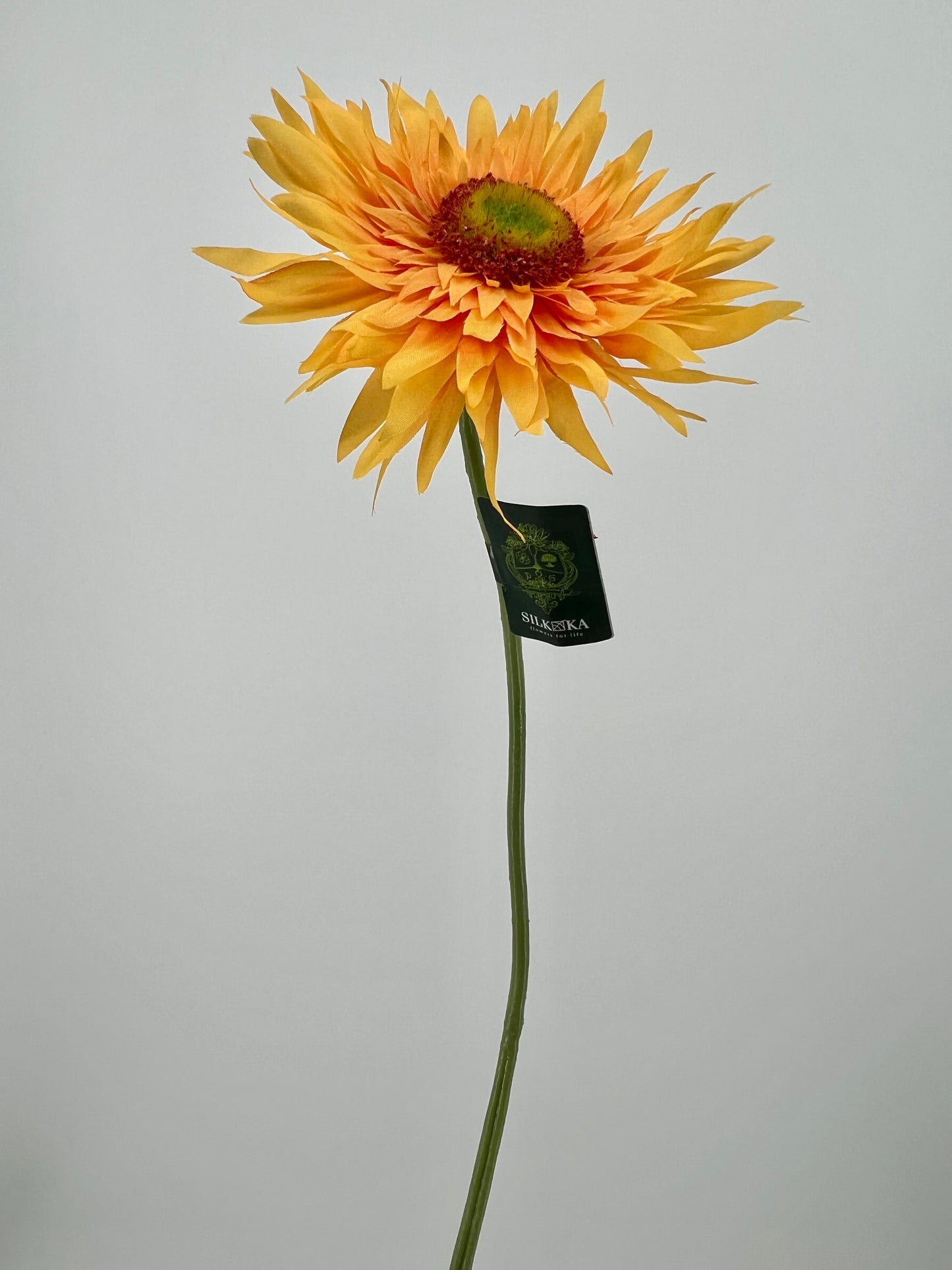 Bos gerbera's 6 stelen van elke kleur één, 5 + 1 gratis, 61cm