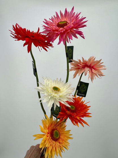 Bos gerbera's 6 stelen van elke kleur één, 5 + 1 gratis, 61cm