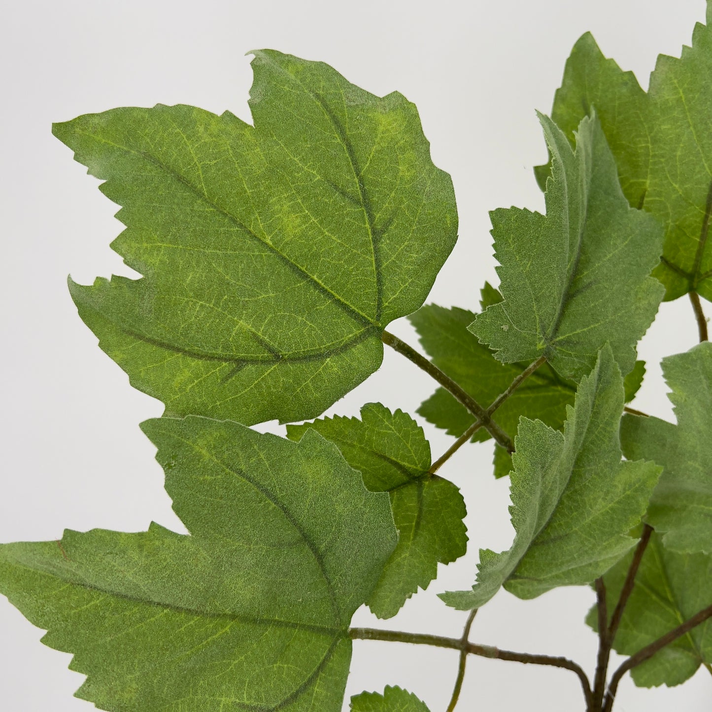 Silk-Ka bladgroen tak waanzinnig echt!, 81cm