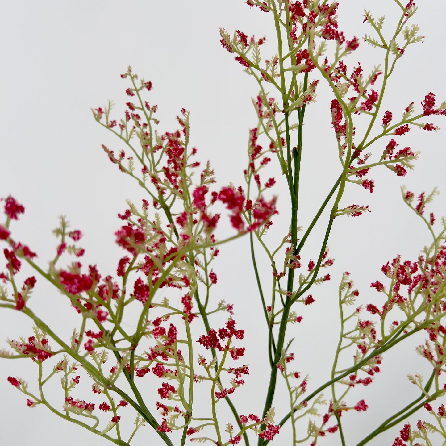 Kunsttak Statice voor in elk boeket! In diverse kleuren per/2, 80cm