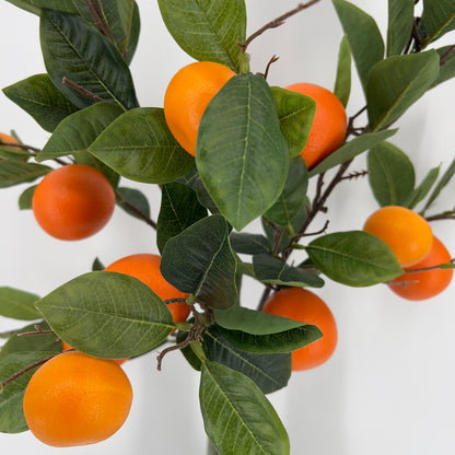 Kunst sinaasappeltak/mandarijntak, 95cm