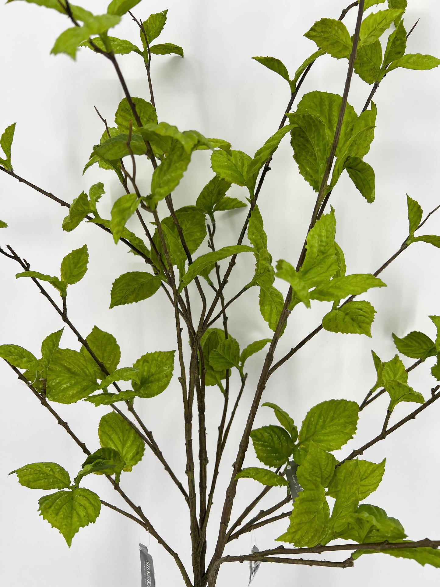 Silk-ka kunsttak beuken in rood/groen of groen, 116cm