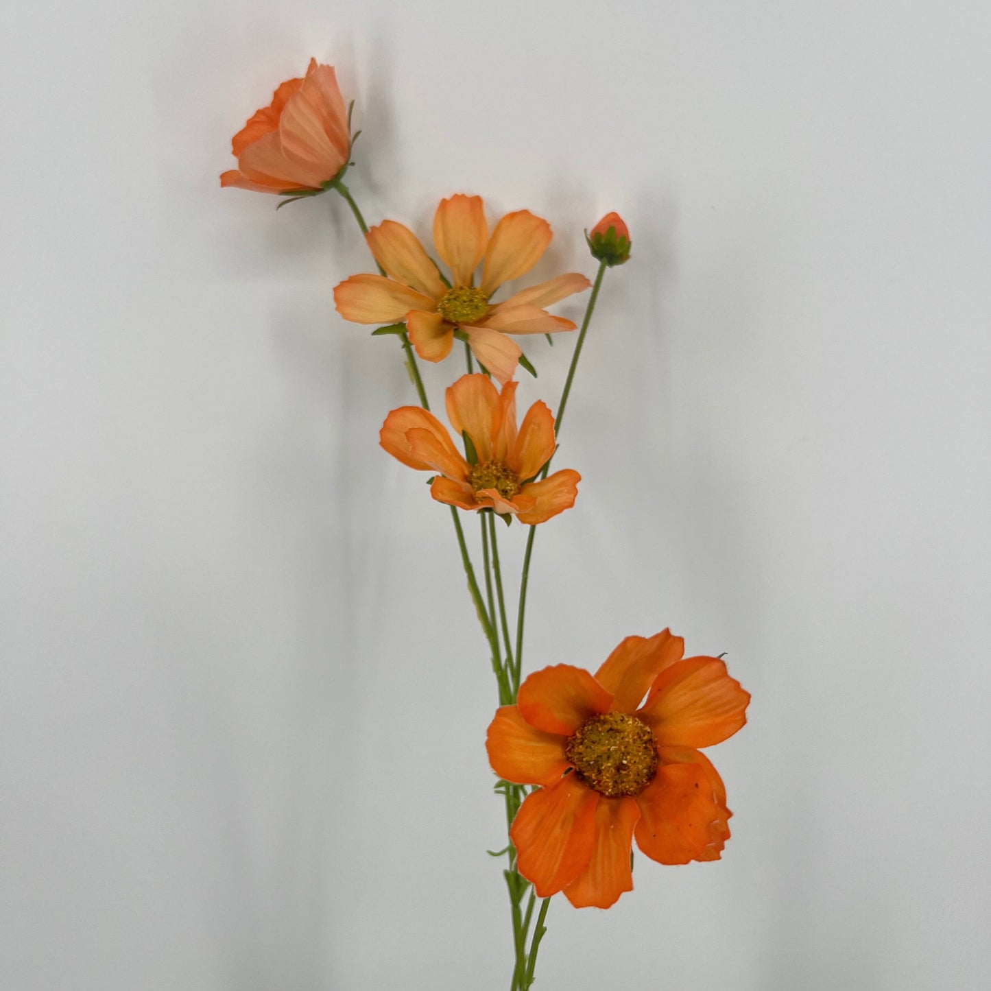 Silk-ka Cosmea, beauty, geel en licht oranje, 92cm