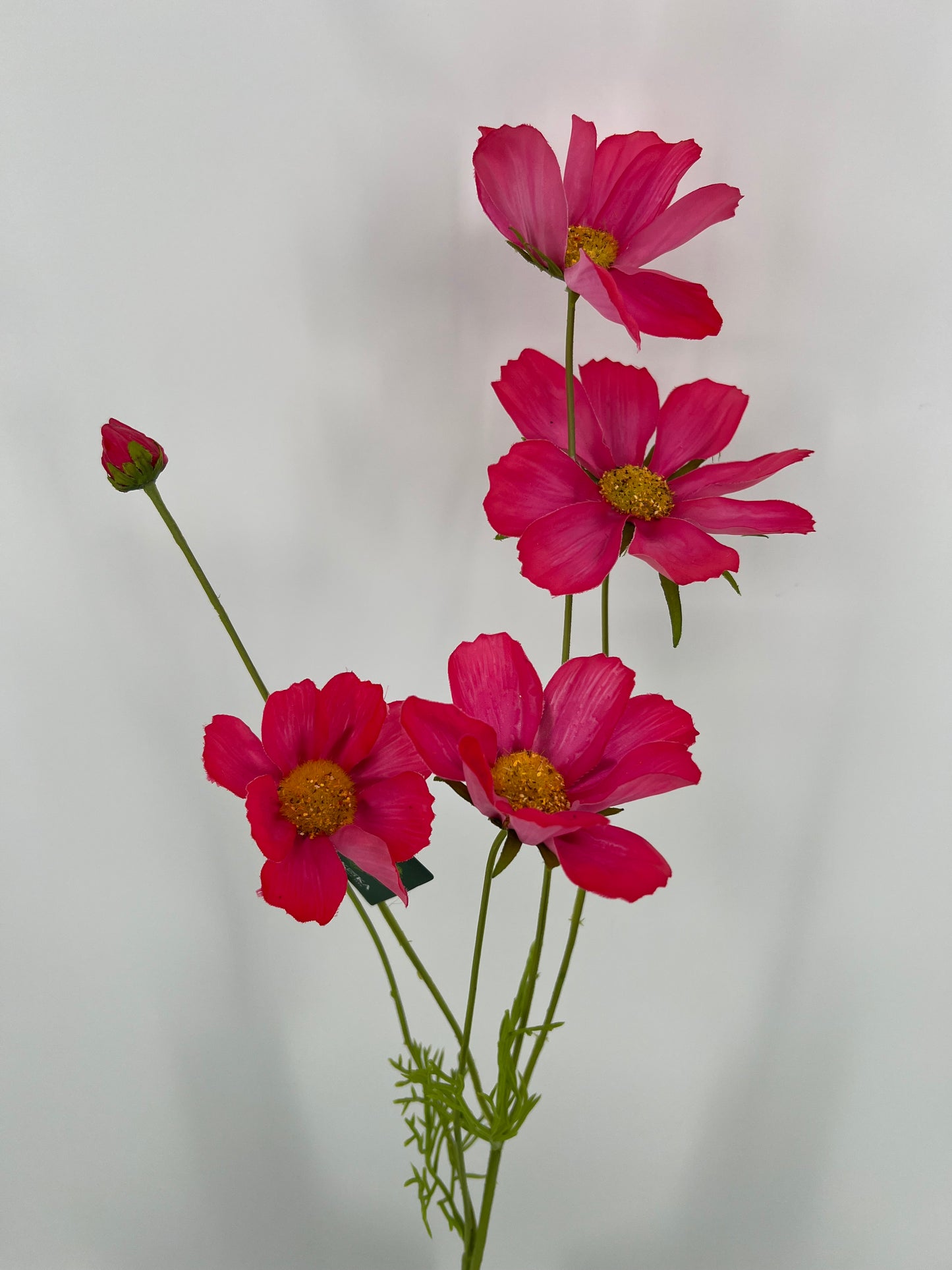 Silk-ka Cosmea, beauty, geel en licht oranje, 92cm