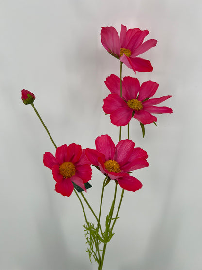 Silk-ka Cosmea, beauty, geel en licht oranje, 92cm