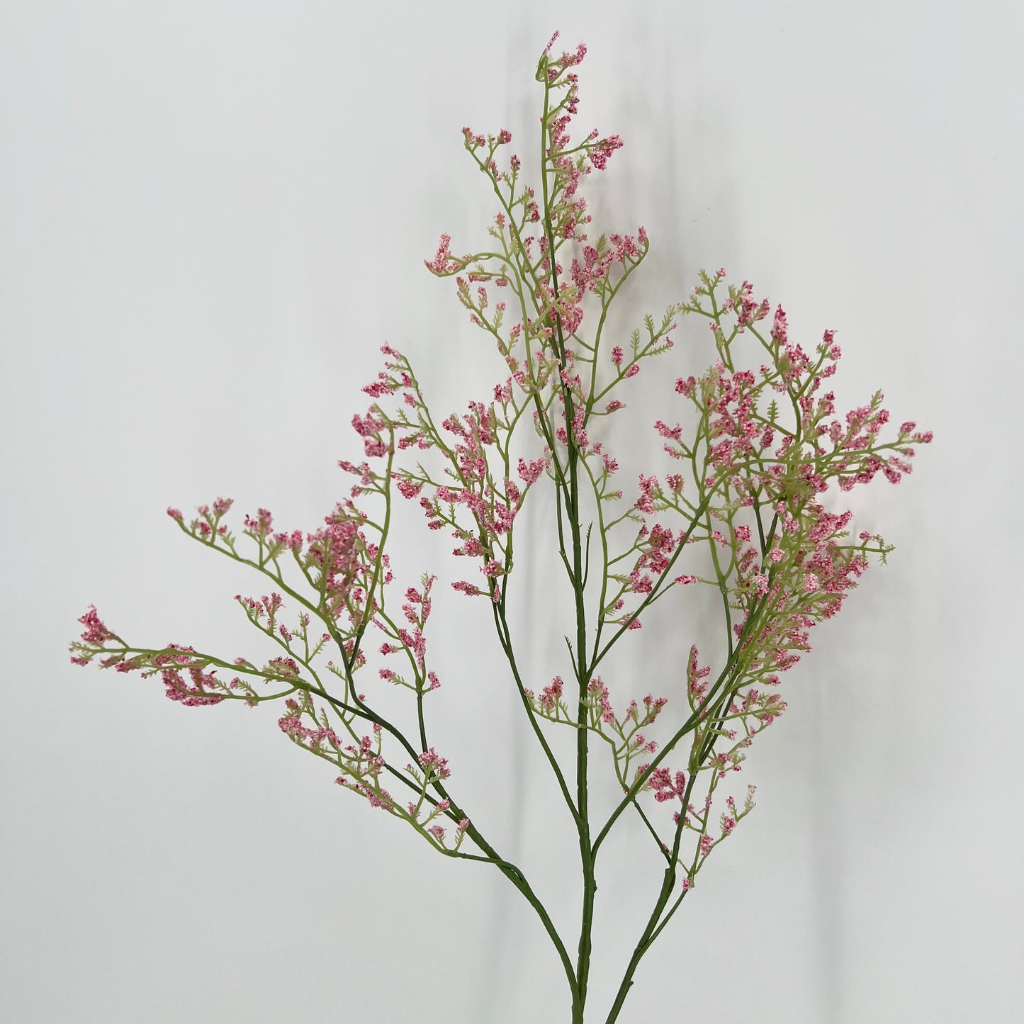 Kunsttak Statice voor in elk boeket! In diverse kleuren per/2, 80cm