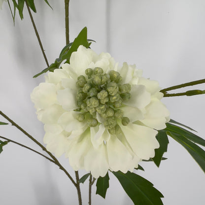 Scabiosa kunsttak in 5 kleuren, 113cm