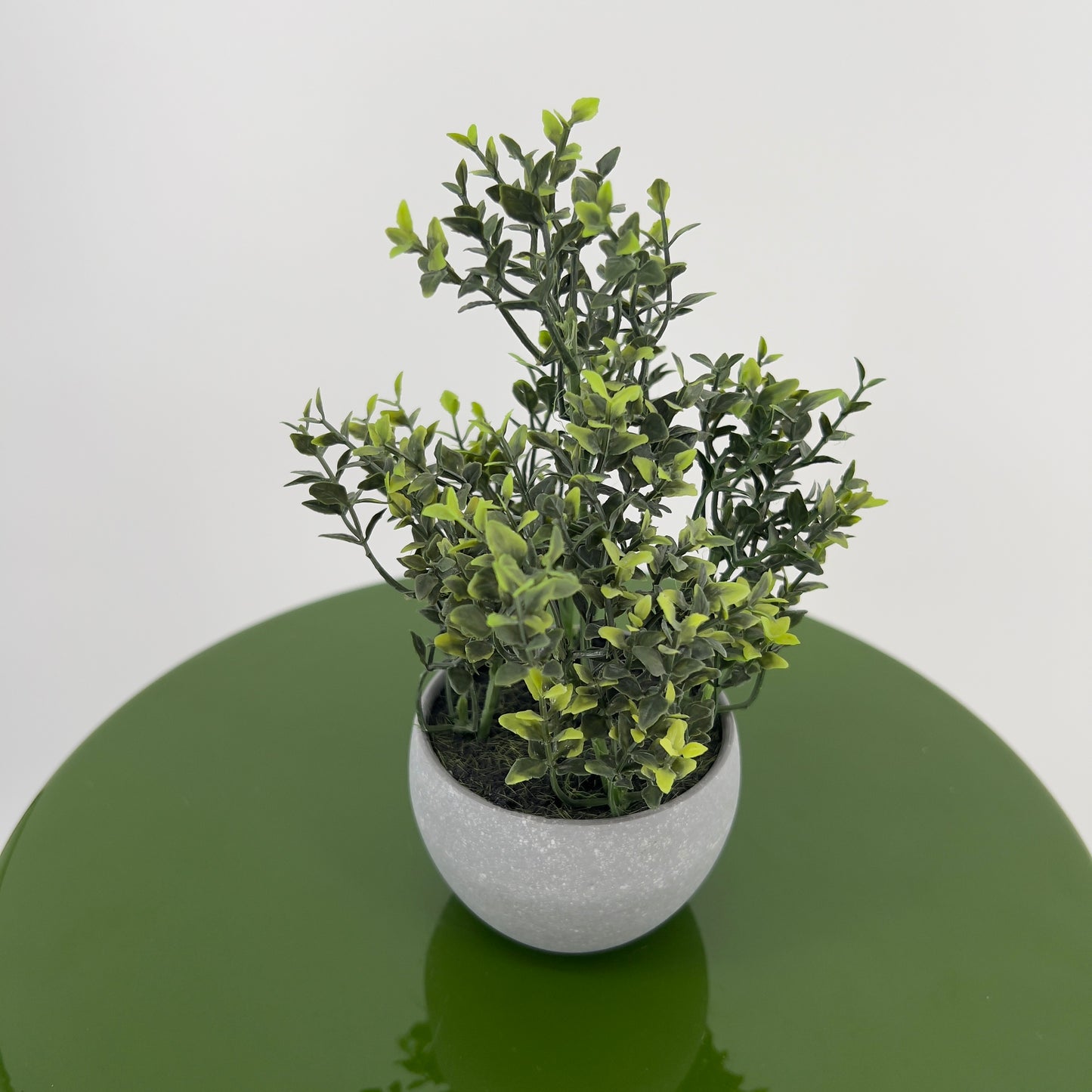 Kruiden Tijm, Basilicum en Rozemarijn in pot, 16/17cm