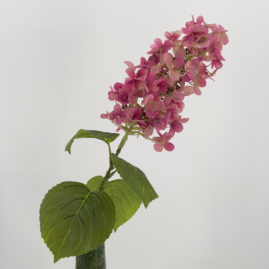 Hydrangea cone mauve, 75cm