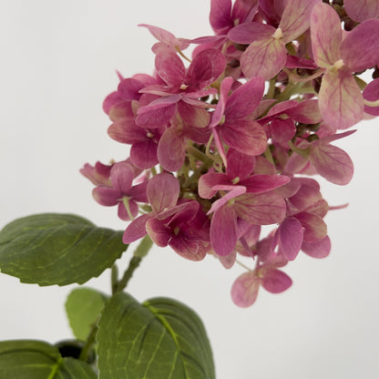 Hydrangea cone mauve, 75cm