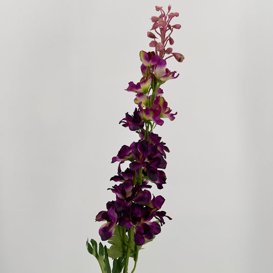 Delphinium purple/paars, 79cm