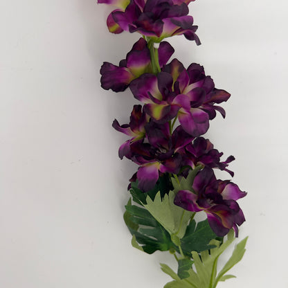 Delphinium purple/paars, 79cm
