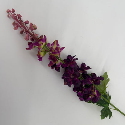 Delphinium purple/paars, 79cm