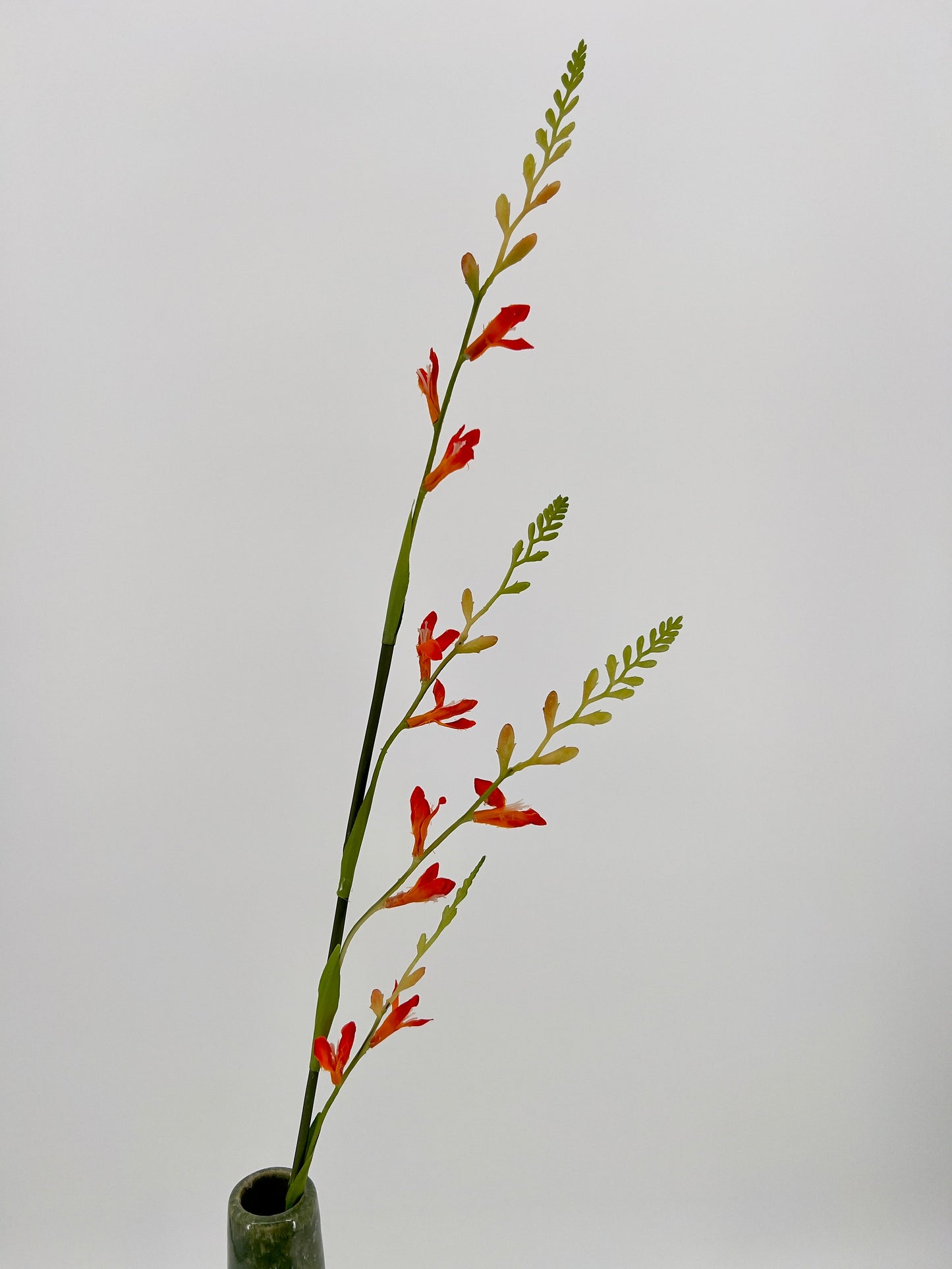 Montbretia spray 93cm oranje