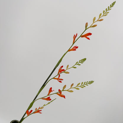 Montbretia spray 93cm oranje
