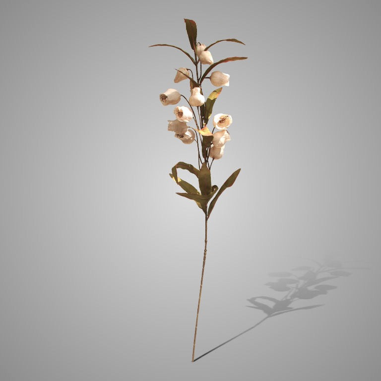 Campanula grande off white, 100cm