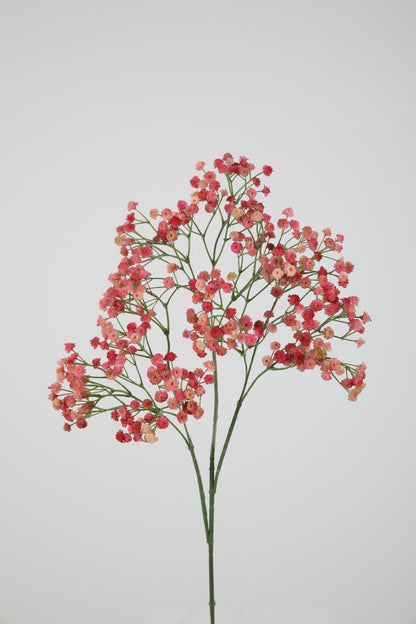 Gypsophilia (gipskruid) donker of licht roze, 66cm