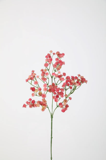Gypsophilia (gipskruid) donker of licht roze, 66cm